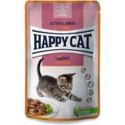 פאוצ' לחתולים