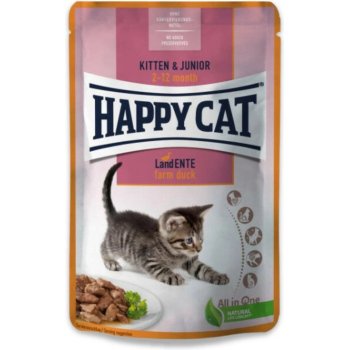 פאוצ' לחתולים