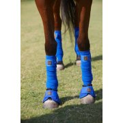 polo-bandages-set-of-4–colour-baby-pink-out-of-stock-(2)-8778-p