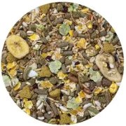 Untitled design (17)