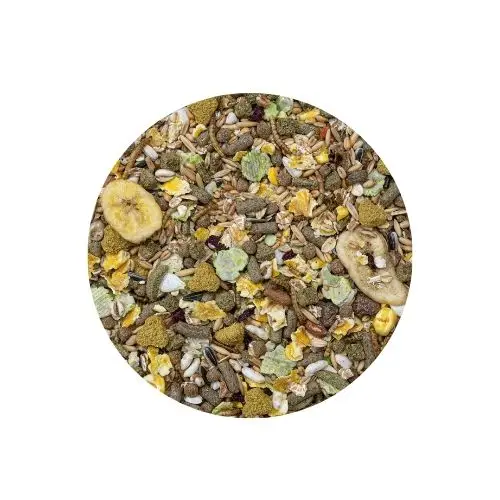 Untitled design (16)